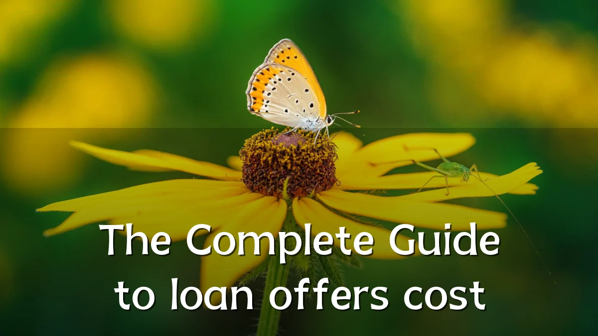 The Complete Guide to loan offers cost