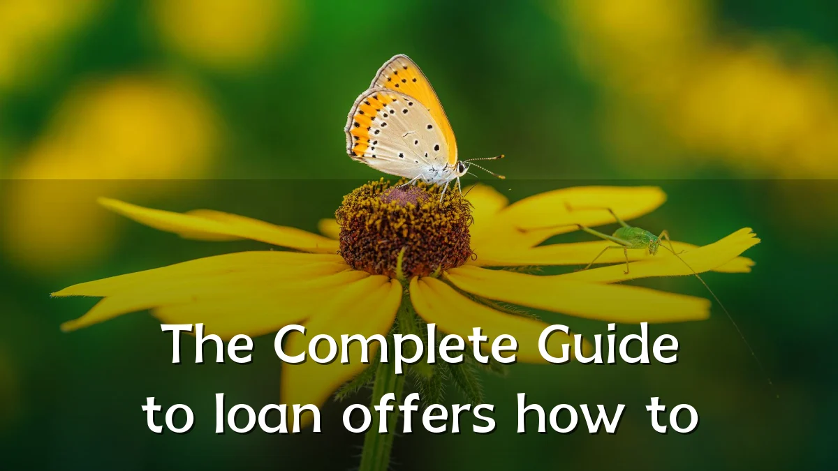 The Complete Guide to loan offers how to