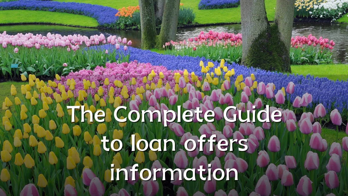 The Complete Guide to loan offers information