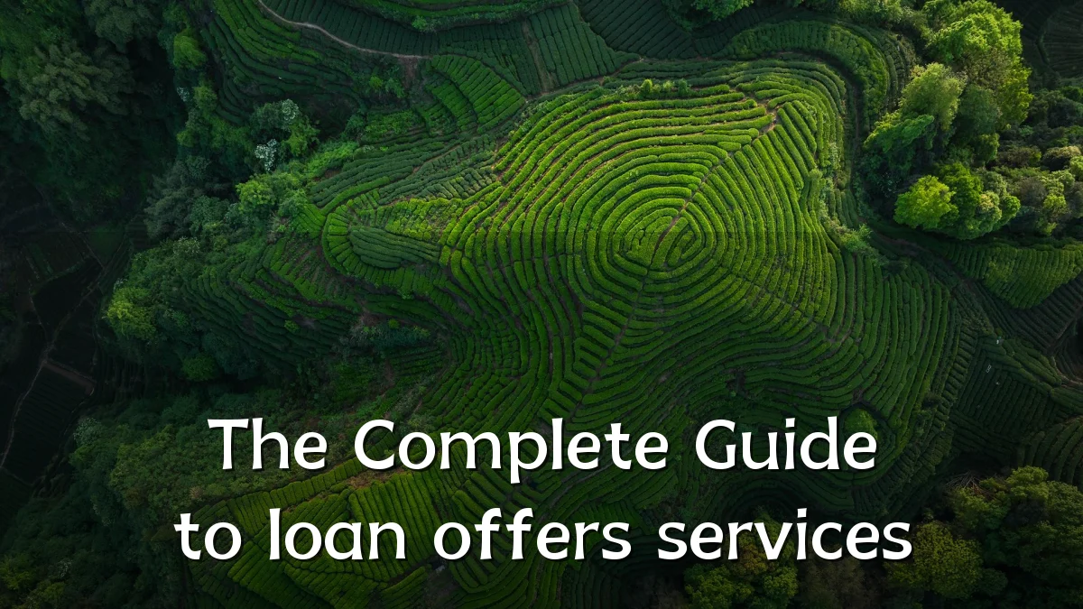 The Complete Guide to loan offers services