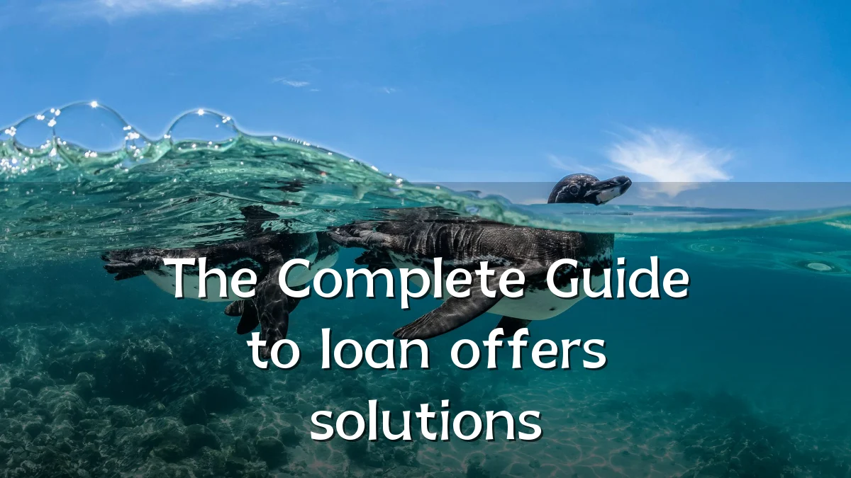 The Complete Guide to loan offers solutions