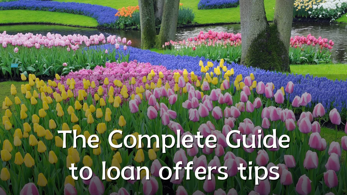 The Complete Guide to loan offers tips