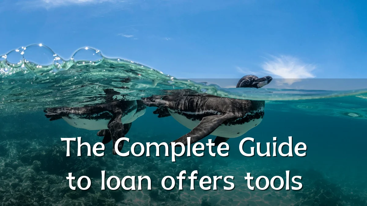 The Complete Guide to loan offers tools
