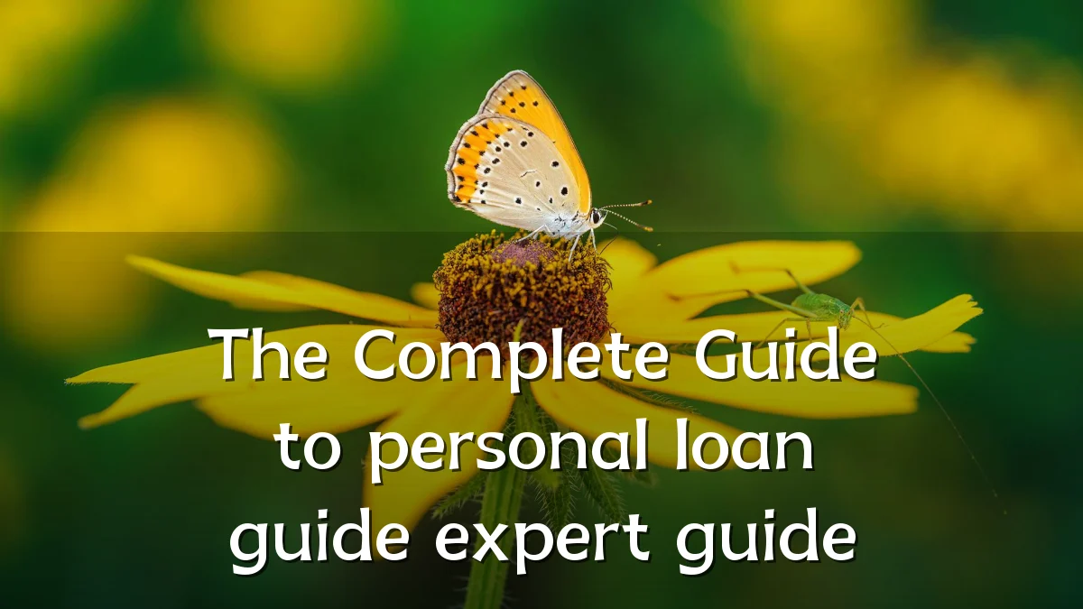 The Complete Guide to personal loan guide expert guide