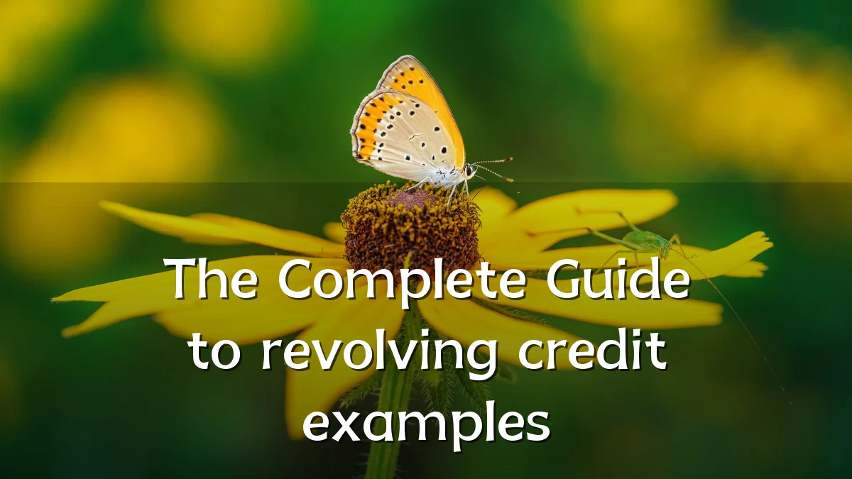 The Complete Guide to revolving credit examples
