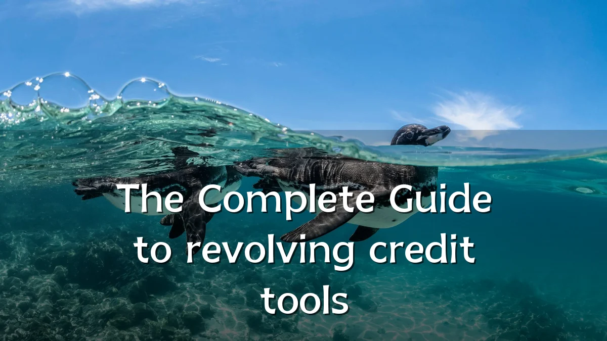 The Complete Guide to revolving credit tools