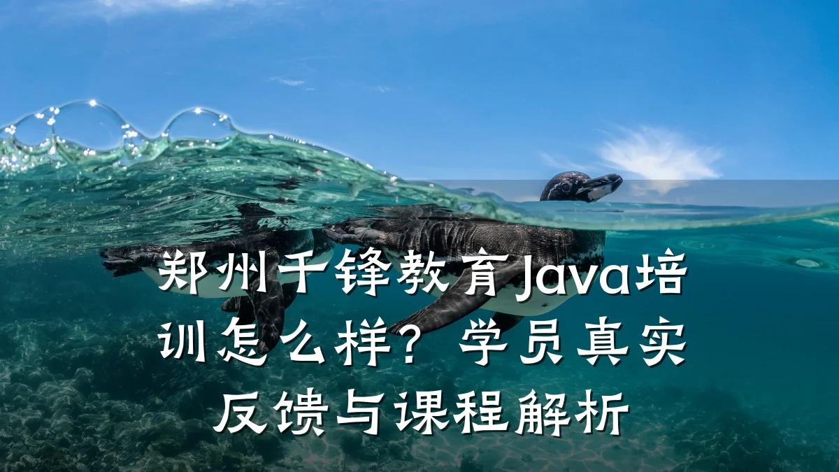 郑州千锋教育Java培训怎么样？学员真实反馈与课程解析