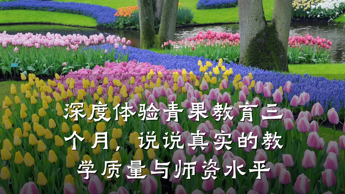深度体验青果教育三个月，说说真实的教学质量与师资水平